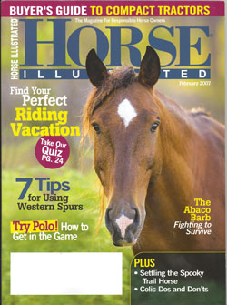 Horse Illustrated Cover